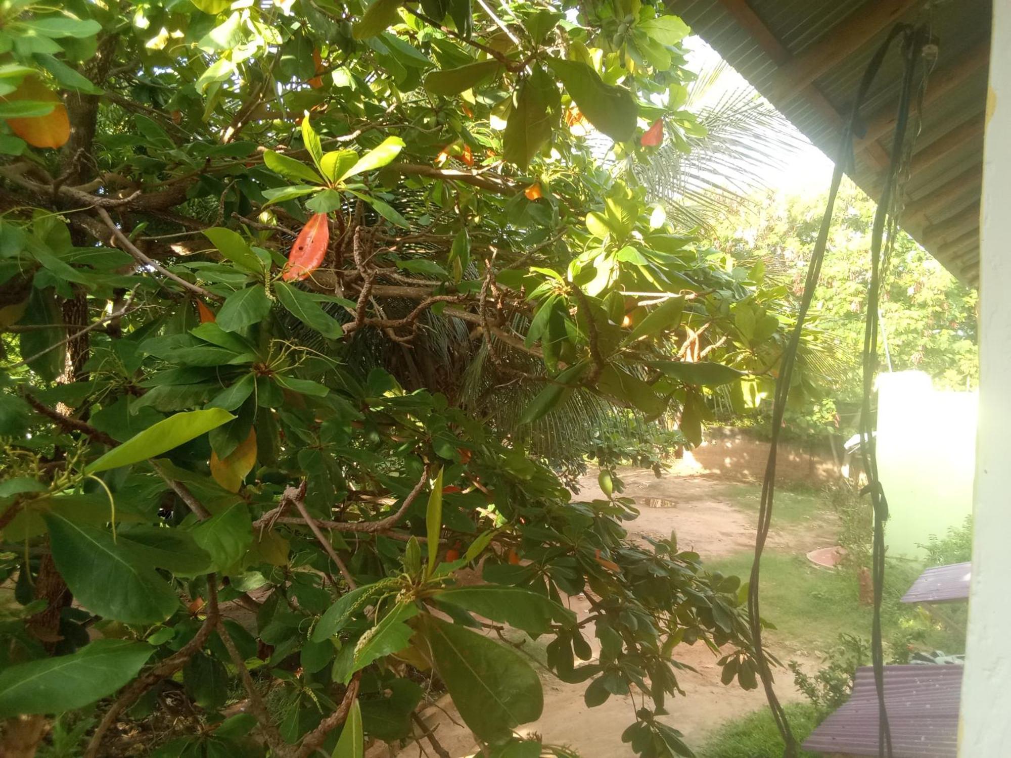 דירות נונגווי Magharibi House מראה חיצוני תמונה